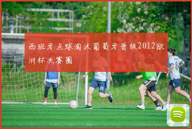 西班牙点球淘汰葡萄牙晋级2012欧洲杯决赛圈